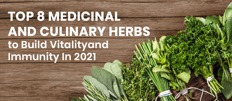 build vitality and immunity via medicinal